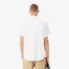 Camicia da uomo in cotone a maniche corte, vestibilità regolare Camicia da uomo in cotone a maniche corte, vestibilità regolare