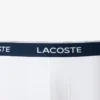 Confezione da 3 parigambi in cotone elasticizzato Confezione da 3 parigambi in cotone elasticizzato