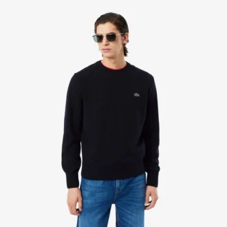 Maglione da uomo in lana a girocollo