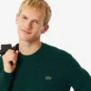 Maglione da uomo in lana a girocollo Maglione da uomo in lana a girocollo