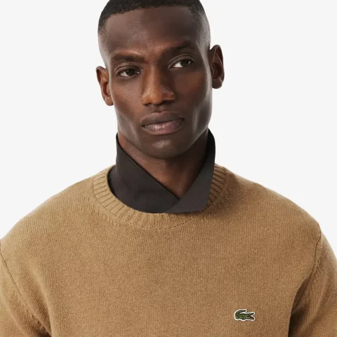 Maglione da uomo in lana a girocollo Maglione da uomo in lana a girocollo