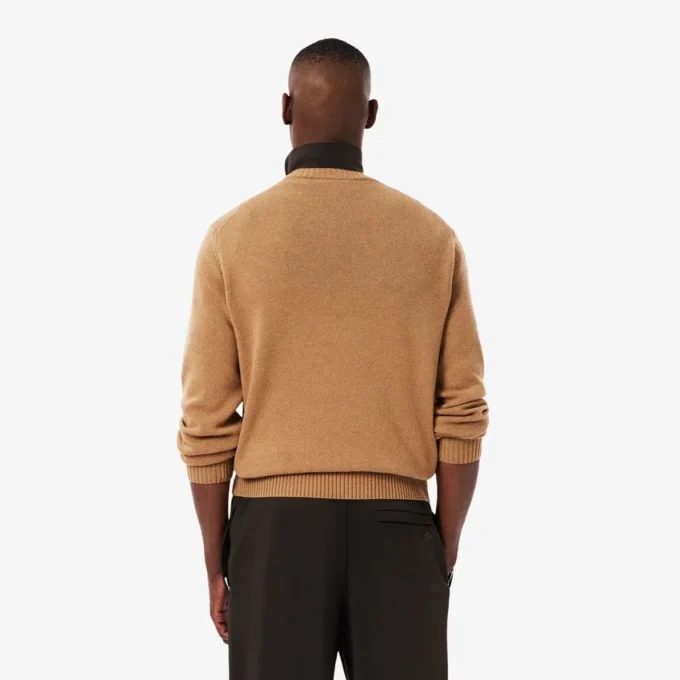 Maglione da uomo in lana a girocollo Maglione da uomo in lana a girocollo
