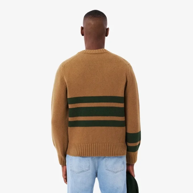 Maglione da uomo in lana a righe con scollo a V Maglione da uomo in lana a righe con scollo a V