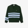 Maglione da uomo in lana a righe con scollo a V Maglione da uomo in lana a righe con scollo a V
