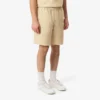 Pantaloncini in cotone a righe con stampa coccodrillo