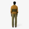 Pantaloni chino da uomo in cotone dalla vestibilità regolare Pantaloni chino da uomo in cotone dalla vestibilità regolare