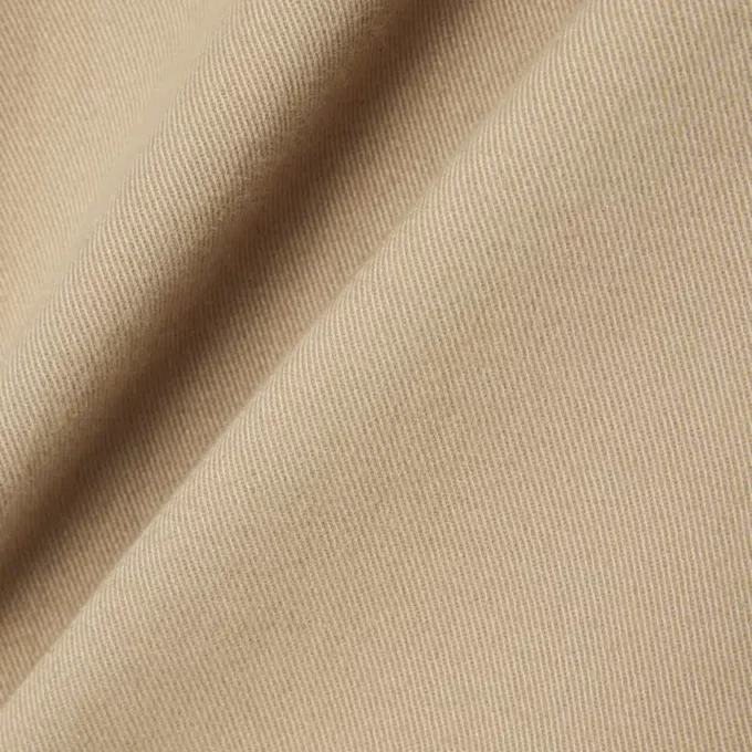 Pantaloni chino in cotone dalla vestibilità regolare Pantaloni chino in cotone dalla vestibilità regolare