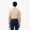 Polo da golf a righe Ultra Dry Regular Fit