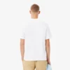 T-shirt da uomo in cotone T-shirt da uomo in cotone