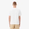 T-shirt da uomo in cotone T-shirt da uomo in cotone