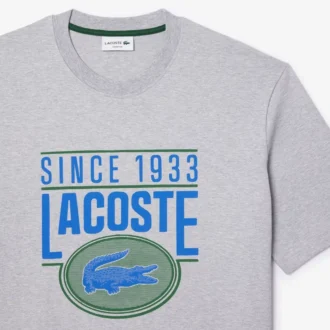 T-shirt da uomo in cotone pesante stampata, vestibilità ampia