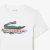 T-shirt da uomo sportiva in cotone biologico, vestibilità regolare T-shirt da uomo sportiva in cotone biologico, vestibilità regolare