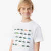 T-shirt in cotone con stampa coccodrillo T-shirt in cotone con stampa coccodrillo