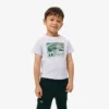 T-shirt in cotone con stampa grafica T-shirt in cotone con stampa grafica