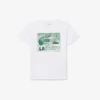 T-shirt in cotone con stampa grafica