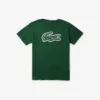 T-shirt in cotone stampata T-shirt in cotone stampata