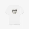 T-shirt in cotone stampata