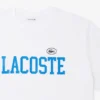 T-shirt in jersey di cotone – Taglie forti – Taglie grandi T-shirt in jersey di cotone – Taglie forti – Taglie grandi